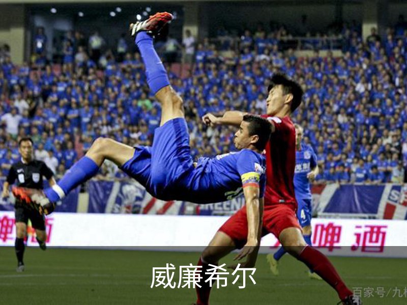 关于威廉希尔