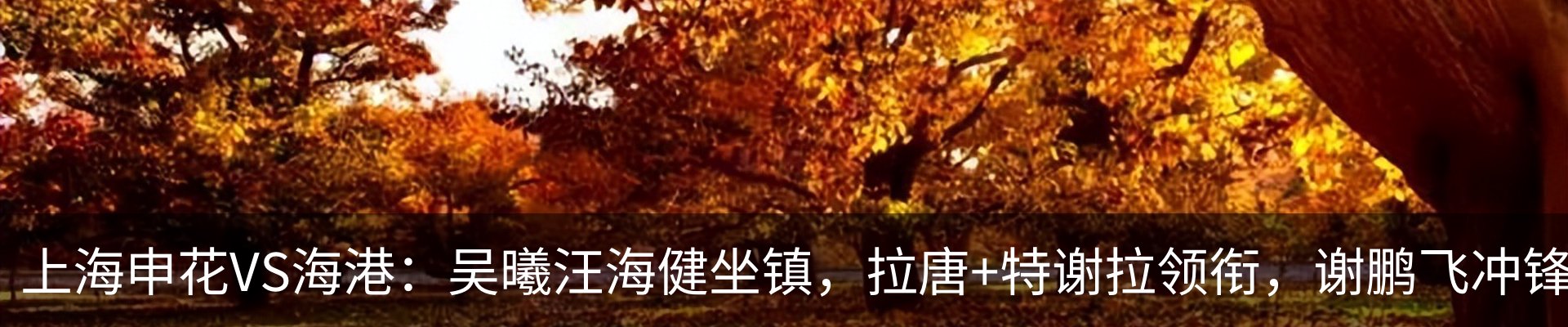 最新动态