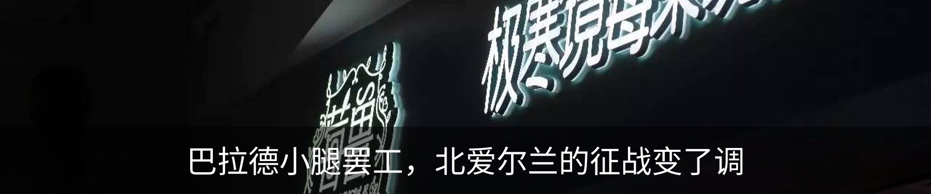 最新动态